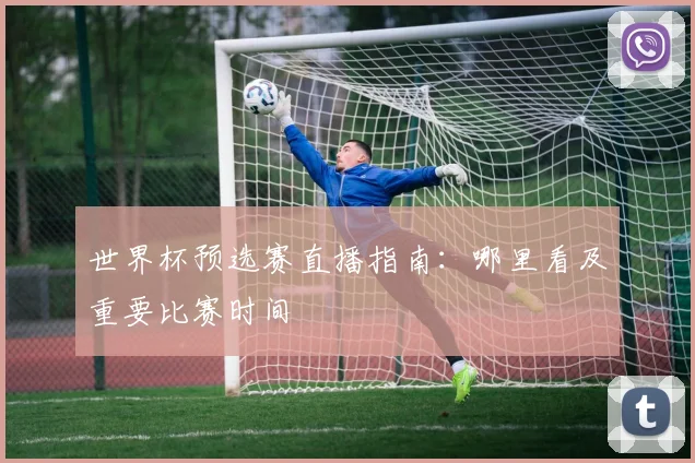 世界杯预选赛直播指南:哪里看及重要比赛时间